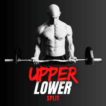 Upper Lower Workout Plan