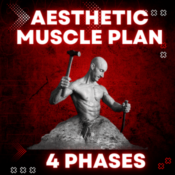 Aesthetic Muscle Plan