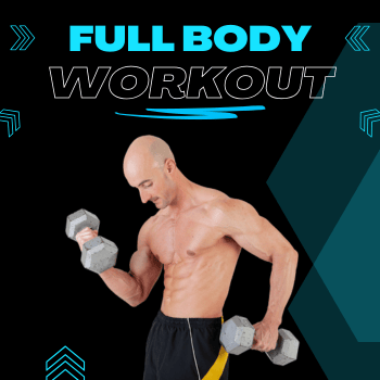 Full Body Workout Program