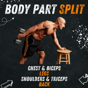 Body Part Split Workout Program
